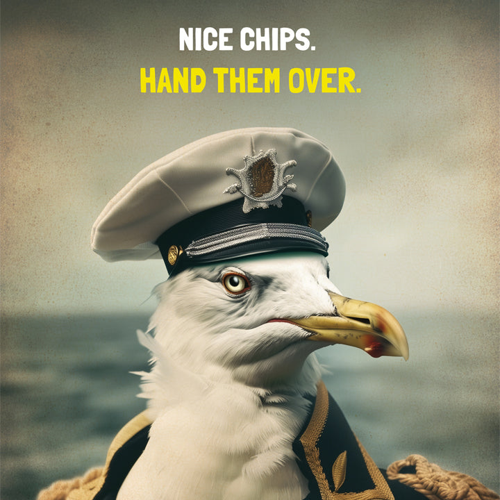Gulls behaving badly