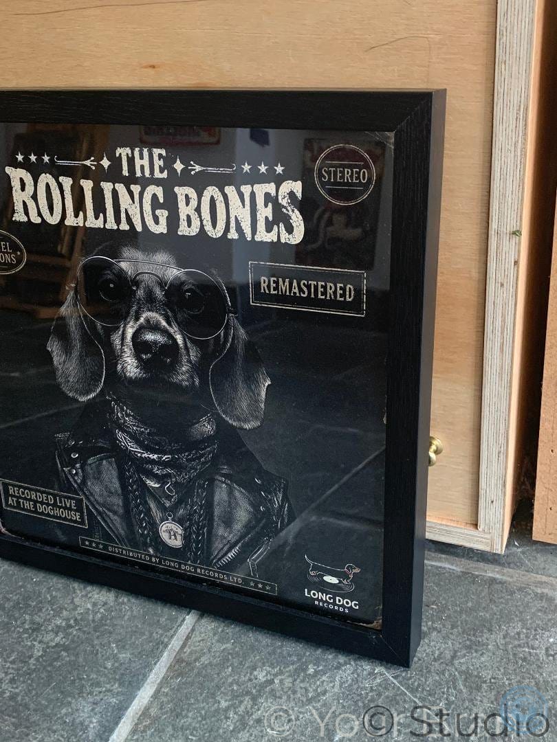 Framed album cover with a dog wearing sunglasses and a bandana, titled 'The Rolling Bones'.