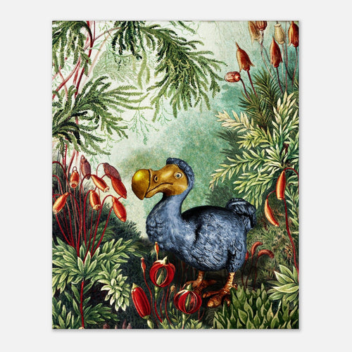 dodo bird in collage of seed pods