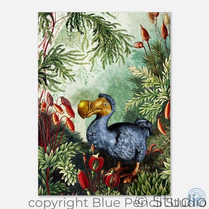 Blue dodo bird art