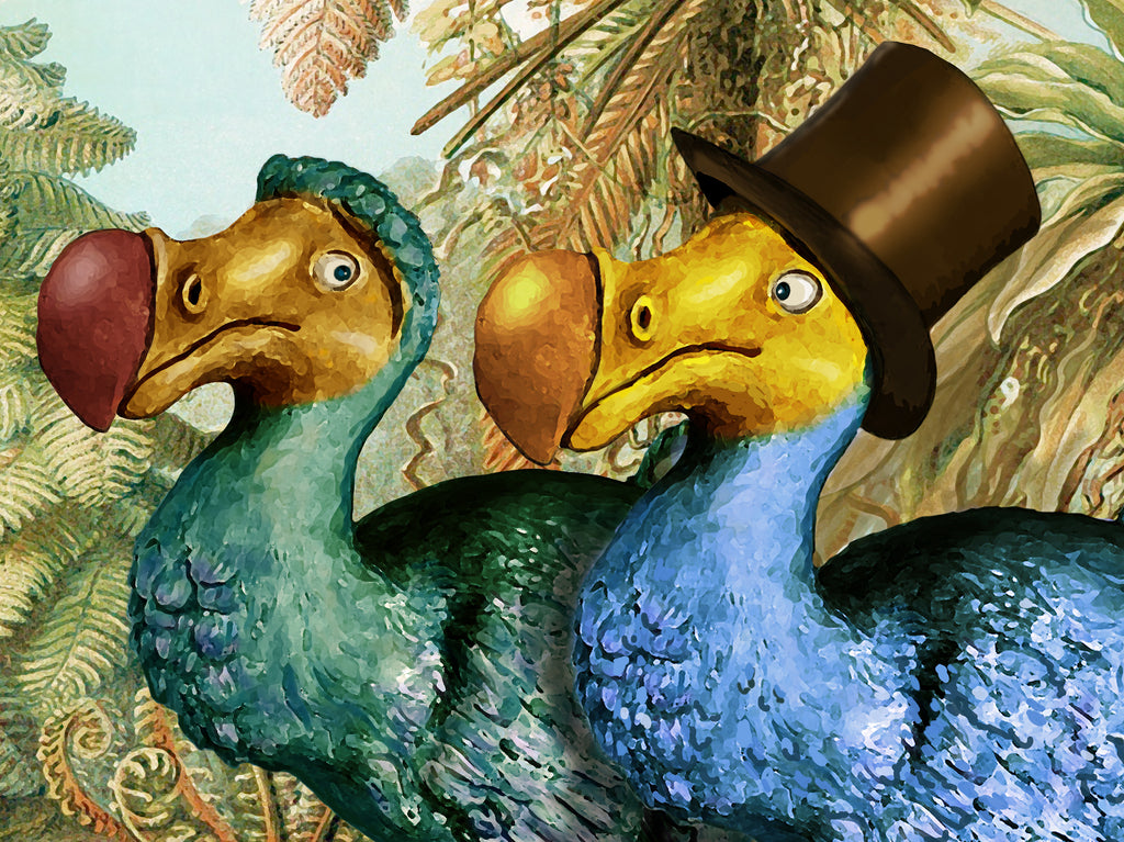 Two Dodo Birds | Botanical Vintage Wall Art | Alice in Wonderland Print