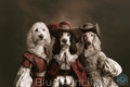 Order your Pet Portrait