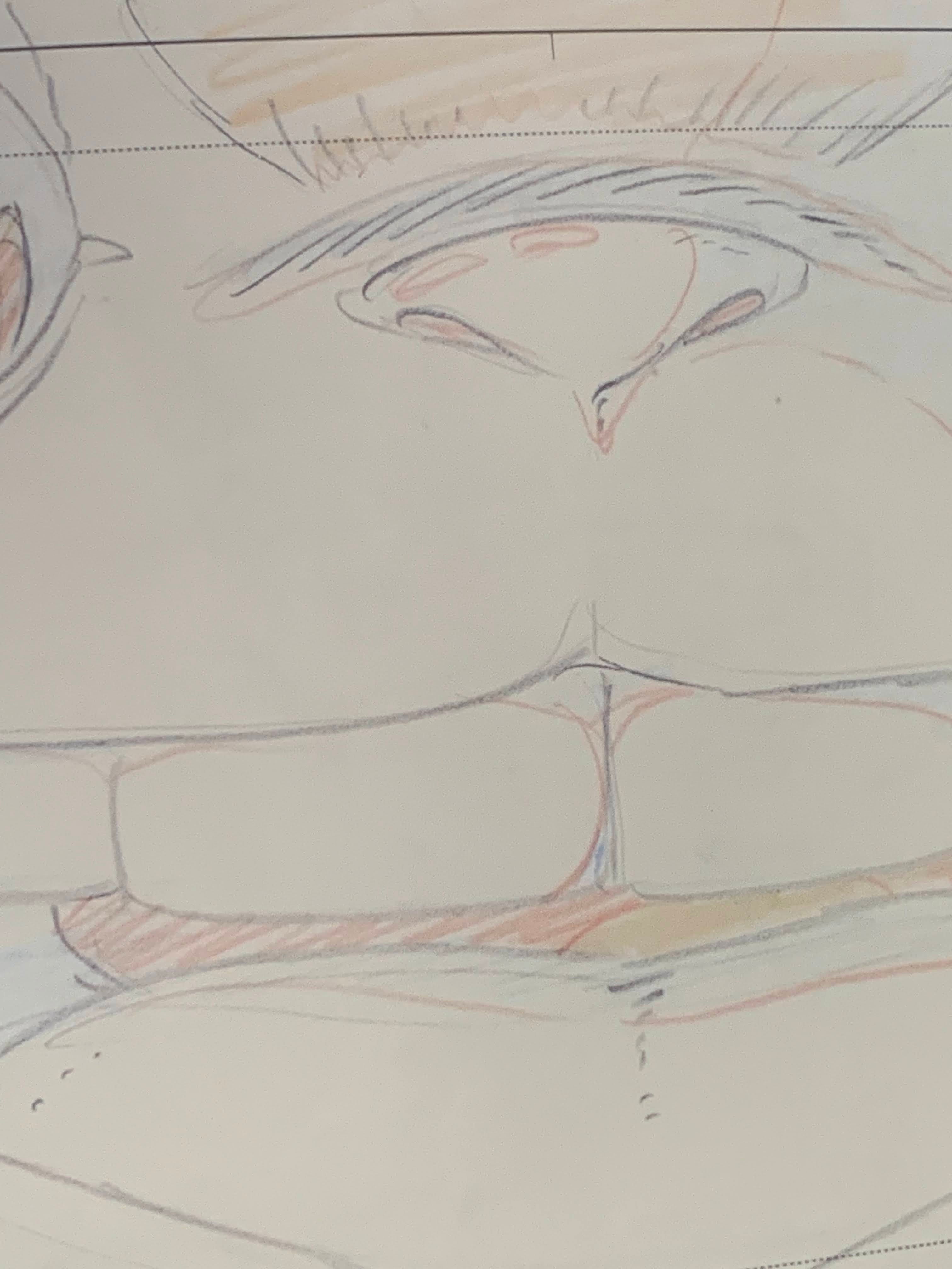 My neighbour Totoro-Studio Ghibli Animation layout sketch-Reproduction print