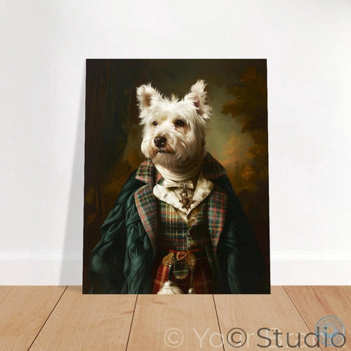White westie in kilt