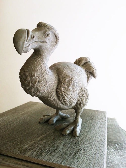 sculpture of a dodo bird by Anna Saunders artist
